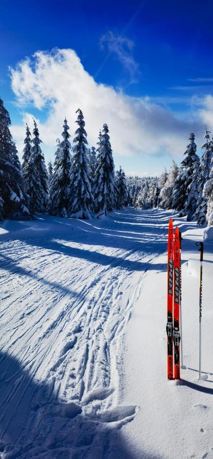 Pokoje U Orla W Szklarskiej Porebie Szklarska Poręba Buitenkant foto